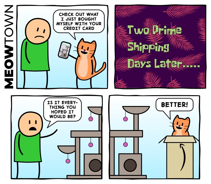 A four-panel comic. Panel one: a bald human in a green shirt frowns as an orange tabby cat proudly holds up a smartphone. Cat: 'Check out what I just bought myself with your credit card.' Panel two: a title card on a purple-and-pink festive background reads 'Two Prime Shipping Days Later…' Panel three: the human gestures glumly at an elaborate multi-level cat tree complete with platforms, tunnels, and dangling pom-pom toys. Human: 'Is it everything you hoped it would be?' Panel four: the cat sits inside a plain cardboard box next to the untouched cat tree and beams. Cat: 'Better!'
