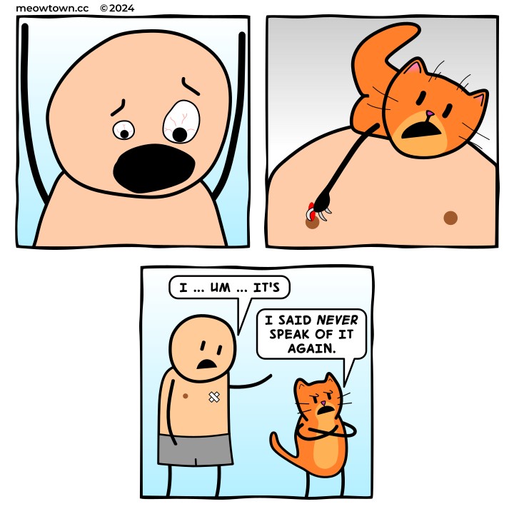 A three-panel comic. Panel one: a close-up of a shirtless bald human's face, eyes bulging and bloodshot, mouth wide open in a scream. Panel two: an orange tabby cat dangles by a single claw hooked into the human's nipple, wearing an expression of dawning horror; a tiny drop of blood is visible. Panel three: the human, now with a small bandage over his nipple, stammers awkwardly. Human: 'I … um … it's' Cat (arms crossed, glaring): 'I said NEVER speak of it again.'