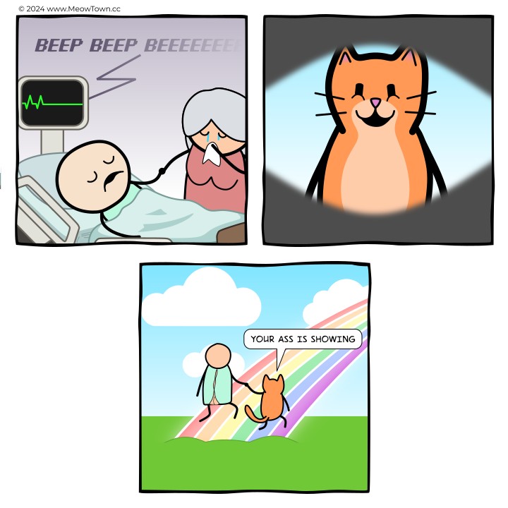 A three-panel comic memorializing Cheddar. Panel one: a hospital scene — a bald human lies still in a hospital bed, his heart monitor flatlining with a 'beep beep beeeeeeee.' A gray-haired older woman in pink stands at the bedside weeping into a tissue. Panel two: the man opens his eyes to see an orange tabby cat looking down at him, smiling peacefully. Panel three: at the Rainbow Bridge — a grassy hillside under a rainbow and blue sky — the human, still wearing a hospital gown, walks away from the viewer, hand-in-paw with the orange cat. Cat: 'Your ass is showing.'