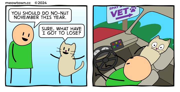 A two-panel comic. Panel one: a smiling bald human in a green shirt addresses a happy buff tabby cat with raised paws. Human: 'You should do No-Nut November this year.' Cat: 'Sure, what have I got to lose?' Panel two: interior of a car — the human (visible only as a torso and hands on the steering wheel) drives, while the cat sits buckled into the passenger seat with growing wide-eyed dread. Through the windshield, a roadside sign reads 'SPAY & NEUTER VET →.'