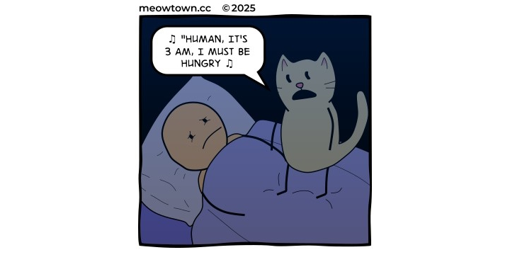 A single-panel comic, set in a dark bedroom at night. A bald human sleeps under a blue blanket, brow furrowed in irritation, one eye scrunched shut. A buff tabby cat stands on his chest, mouth open in song, with musical notes around the speech bubble. Cat (parodying Matchbox Twenty's '3 AM'): '♫ Human, it's 3 a.m., I must be hungry ♫'