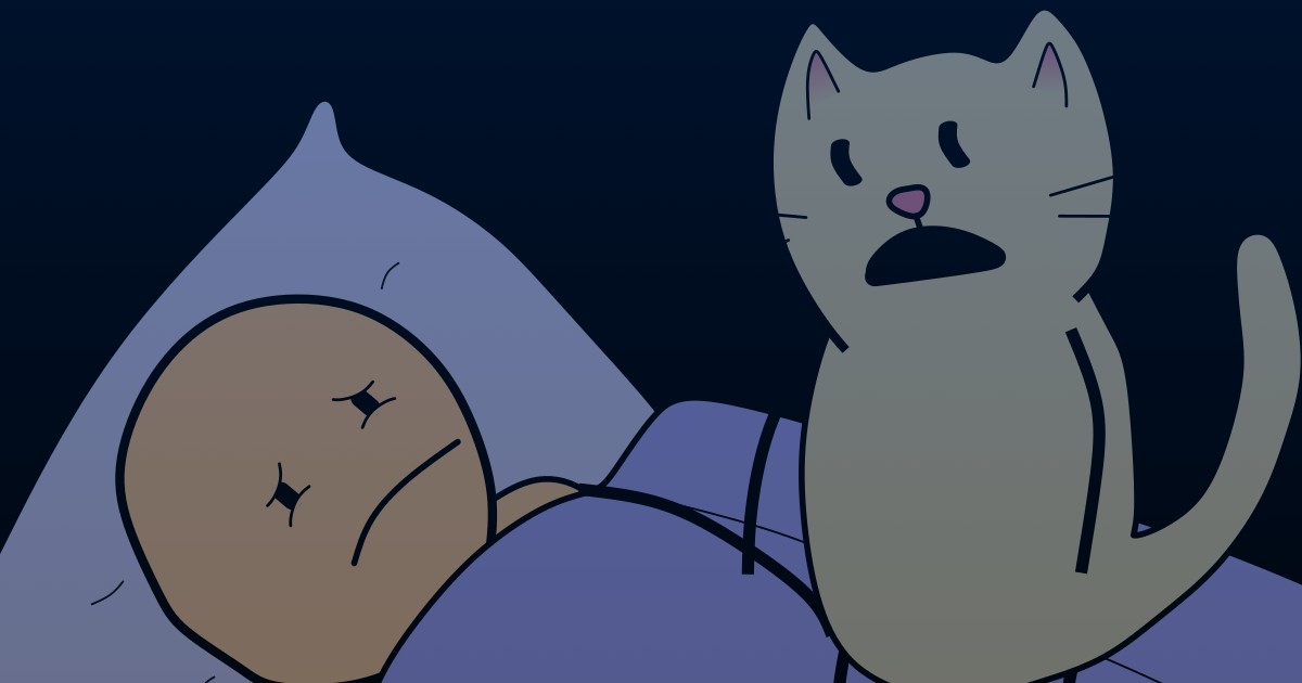 3 AM