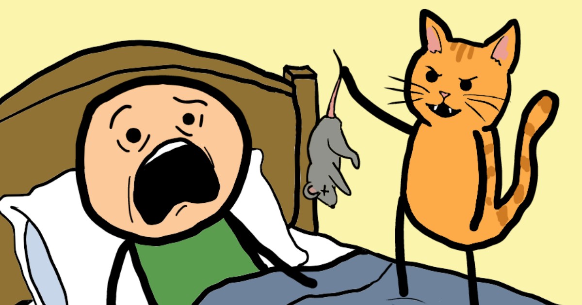 Quid Pro Meow