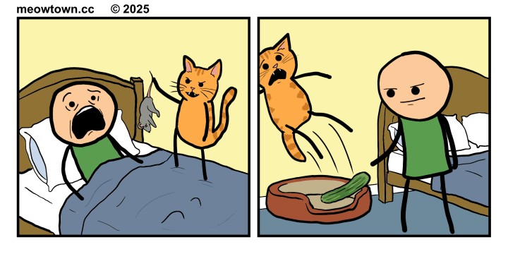 A two-panel comic of escalating jump scares. Panel one: a bald human in green pajamas screams in bed, mouth wide open, as an orange tabby cat looms beside him on the mattress dangling a limp gray mouse by the tail. Panel two: the same orange cat, now midair in a startled leap, fur on end and mouth agape, having just discovered a green cucumber that the human placed inside its bed. The human stands beside the bed smirking.