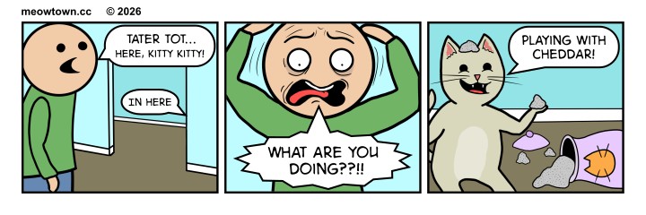 A three-panel MeowTown comic. Panel one: The human in a green shirt stands at the doorway to a hallway, calling out: 'Tater Tot... here, kitty kitty!' From somewhere out of sight, Tater Tot answers, 'In here.' Panel two: An extreme close-up of the person's face, eyes wide with horror, hands clutched to his head, mouth open as he cries, 'What are you doing??!!' Panel three: The reveal. Tater Tot, a buff tabby cat, sits happily beside Cheddar's overturned urn — purple, its domed lid knocked off, a small orange cat-face pendant on the front identifying it as the late Cheddar's. Ashes are spilled across the floor. Tater holds up a clump of the ashes in one paw, contented, and replies: 'Playing with Cheddar!'