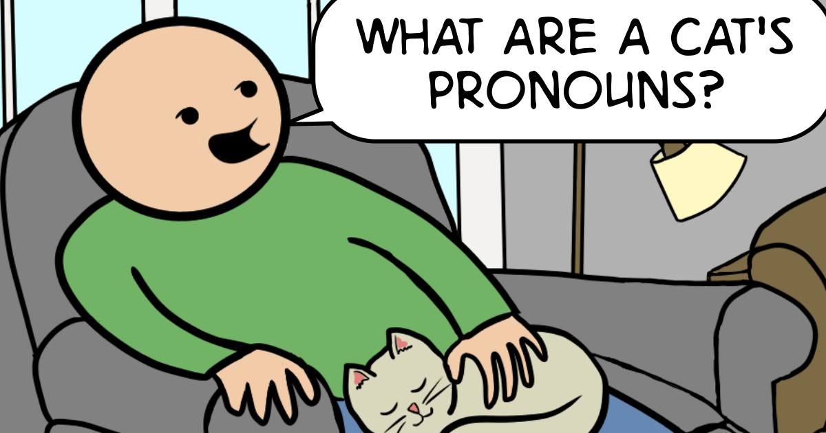 Pronouns