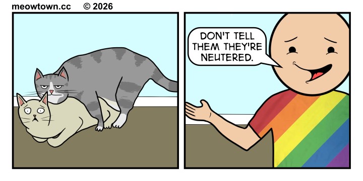 A two-panel MeowTown comic. Panel 1: Loki, a gray tabby cat, mounts Tater Tot, a buff tabby cat, who stares directly at the viewer with wide, shocked eyes. Loki's expression is bored and half-lidded. Both cats stand on a brown floor against a light blue wall. Panel 2: A human wearing a rainbow Pride t-shirt gestures toward the cats with an open palm. The human's expression is tender and conspiratorial, with raised inner eyebrows, addressing the viewer directly. A speech bubble reads, 'Don't tell them they're neutered.'