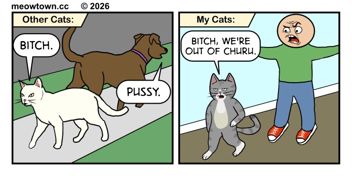 A two-panel MeowTown comic comparing 'Other Cats' and 'My Cats' as labeled section headers. Panel 1, Other Cats: A white cat and a brown dog wearing a purple collar walk past each other in opposite directions on a sidewalk, neither making eye contact. The cat says, 'Bitch.' The dog says, 'Pussy.' Panel 2, My Cats: Loki, a gray tabby, walks past the human, who is wearing a green shirt and blue jeans and red sneakers. Loki's eyes face forward; he does not look at the human. The human reacts with outrage, arms thrown wide and mouth open in a yell. Loki says, 'Bitch, we're out of Churu.'