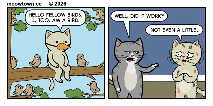 A two-panel MeowTown comic. Panel 1: Tater Tot, a buff tabby cat, sits on a tree branch wearing a fake, conical orange beak tied to his head with string. He says, 'Hello fellow birds, I, too, am a bird.' Eight small brown birds perched on the branches around him stare at him with narrowed, suspicious eyes. Panel 2: Living room interior. Loki, a gray tabby, stands at the left and asks, 'Well, did it work?' Tater stands at the right, visibly shaking, rumpled, covered in red scratch marks across his face, ears, and body, with feathers stuck in his fur. His paws are clasped to his chest in a traumatized posture, eyes wide. He replies, 'Not even a little.'